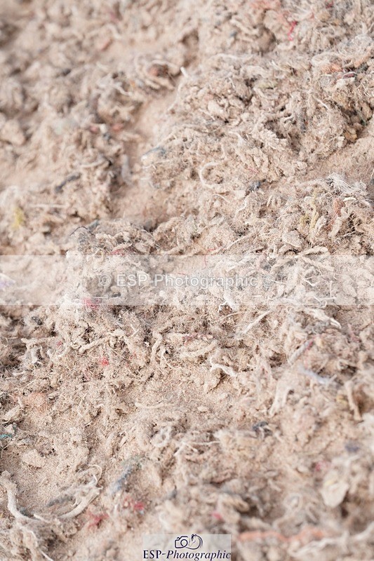 250505-092904-04097 - Cls 12 Stepping Stones