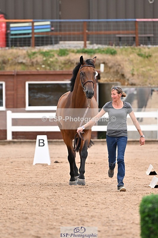 250716-154943-02202 - Trot Up 3.30 to 4.30