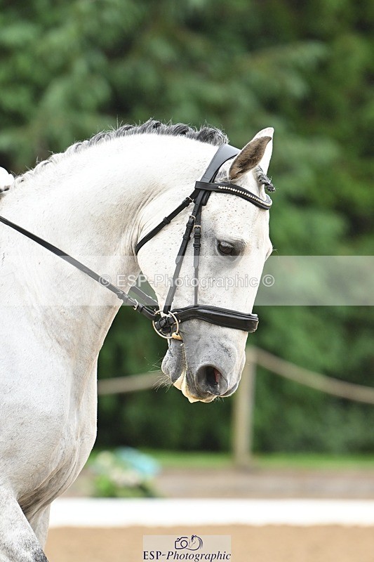 240811-093115-04551 - 140-Ali.Dane-Lidador