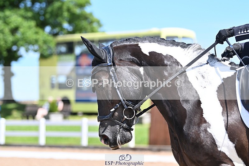 240621A-132409-03731 - Cls 8 BD Elementary 53