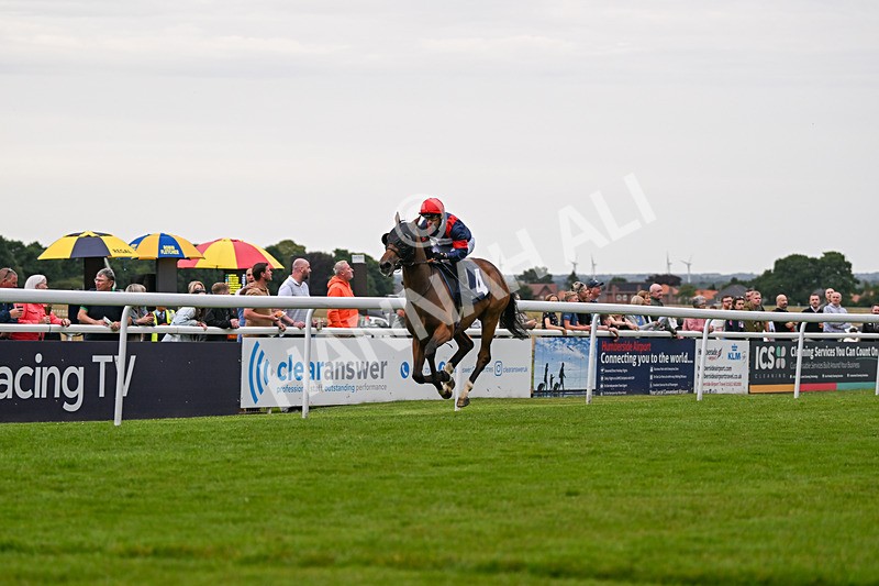 050724-Race 5-Walter Hartright-2528 - Race 5