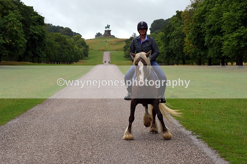 TT3_8805 - Time at Crossing 12:55 to 15:02