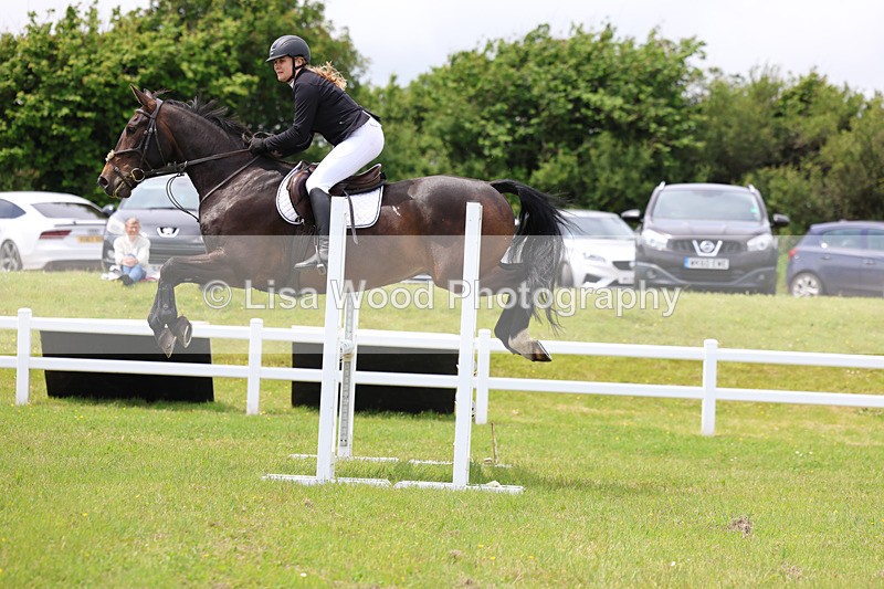 3E7A7241 - Class 13: Senior British Novice/90cm open