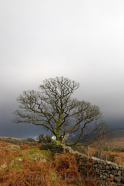  - Lake District