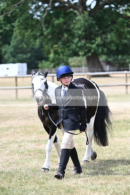 WJ7_1634 - Class 4 Prettiest Mare up to 14.2hh in hand