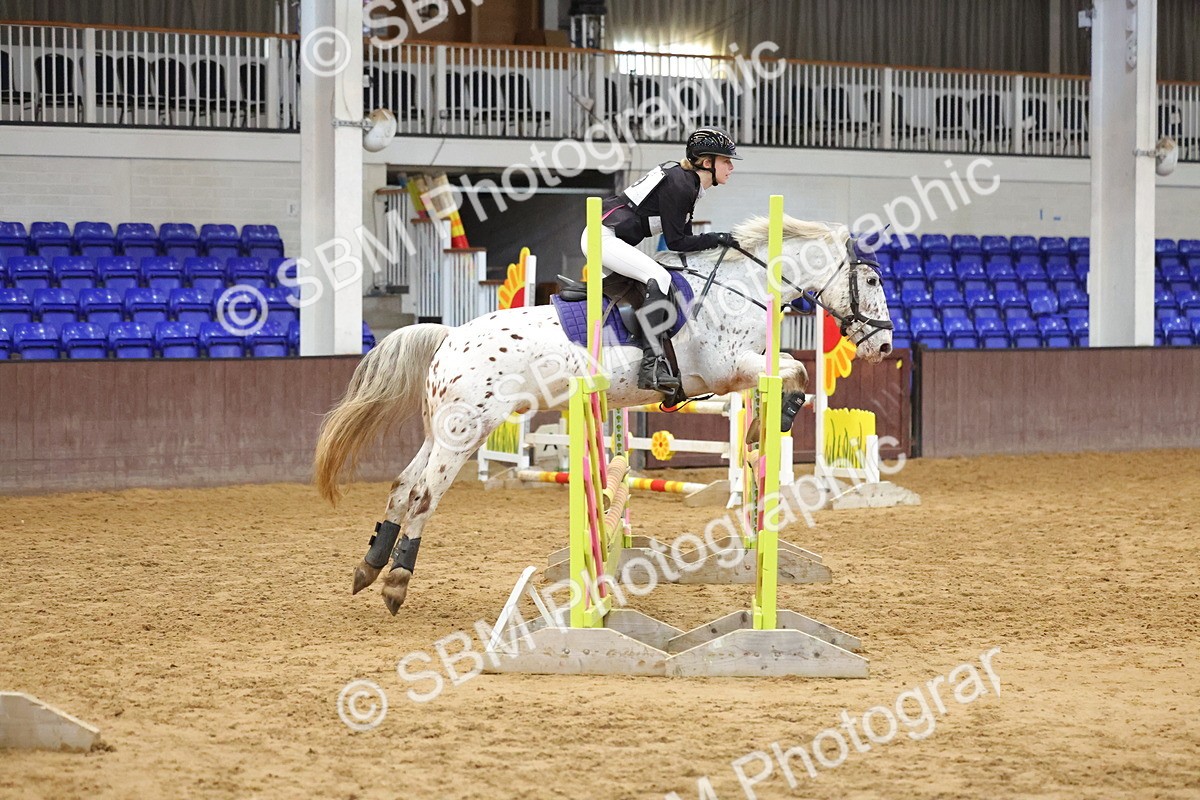 SBM_001896 - Class 5 - Show Jumping 80cm