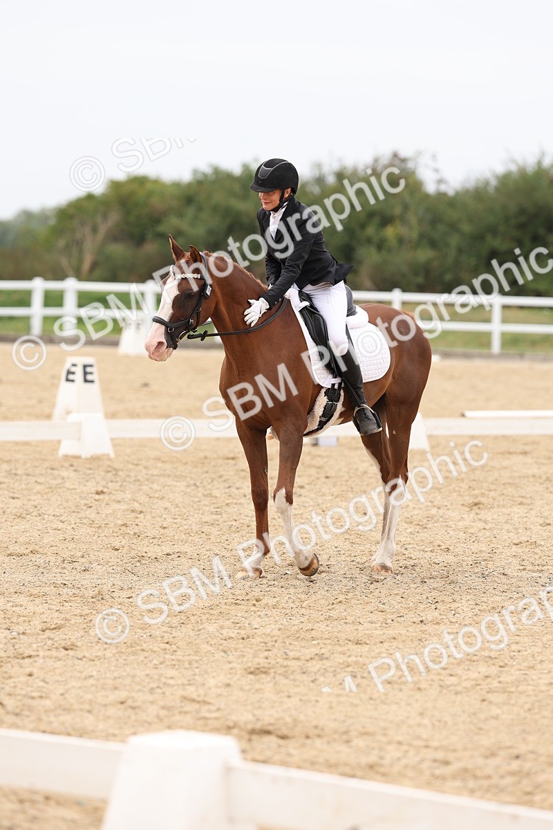 SBM_02095 - Class 8 - Novice 27 Champs