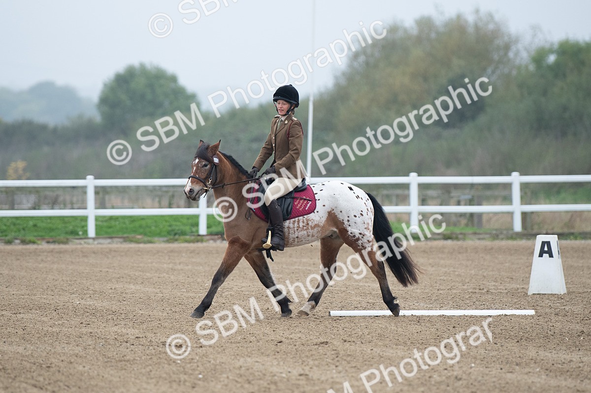 SBM_003405 - Introductory Test 3