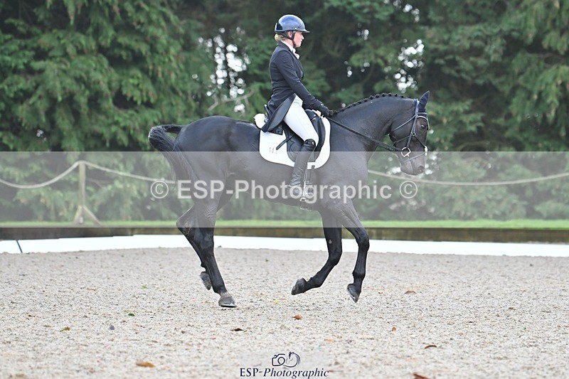 231019-104113-01922 - 102-BAGHEERA-Althea.Bleekman-DR