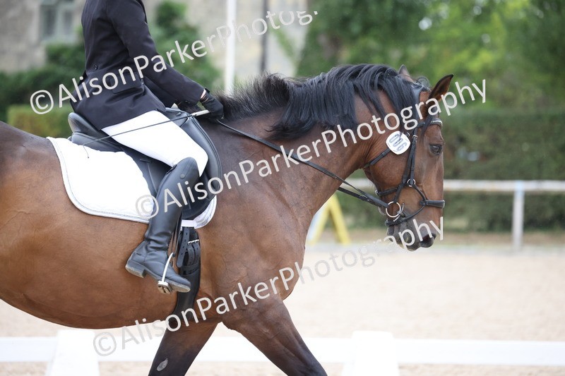 20250820-0336 - Class 11 - My Quest Novice 3