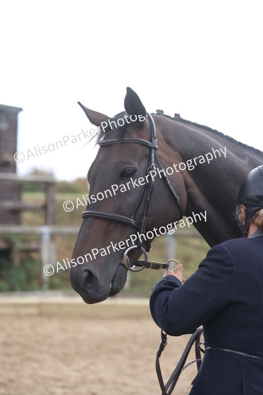 20260831-1927 - Class 5 - Retraining of Racehorses