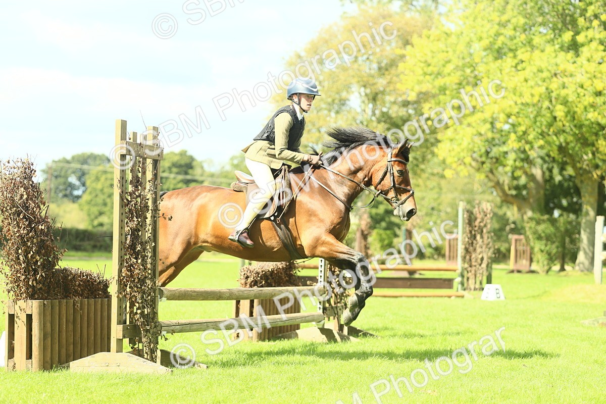 SBM_42991 - S30 - M&M Working hunter Pony