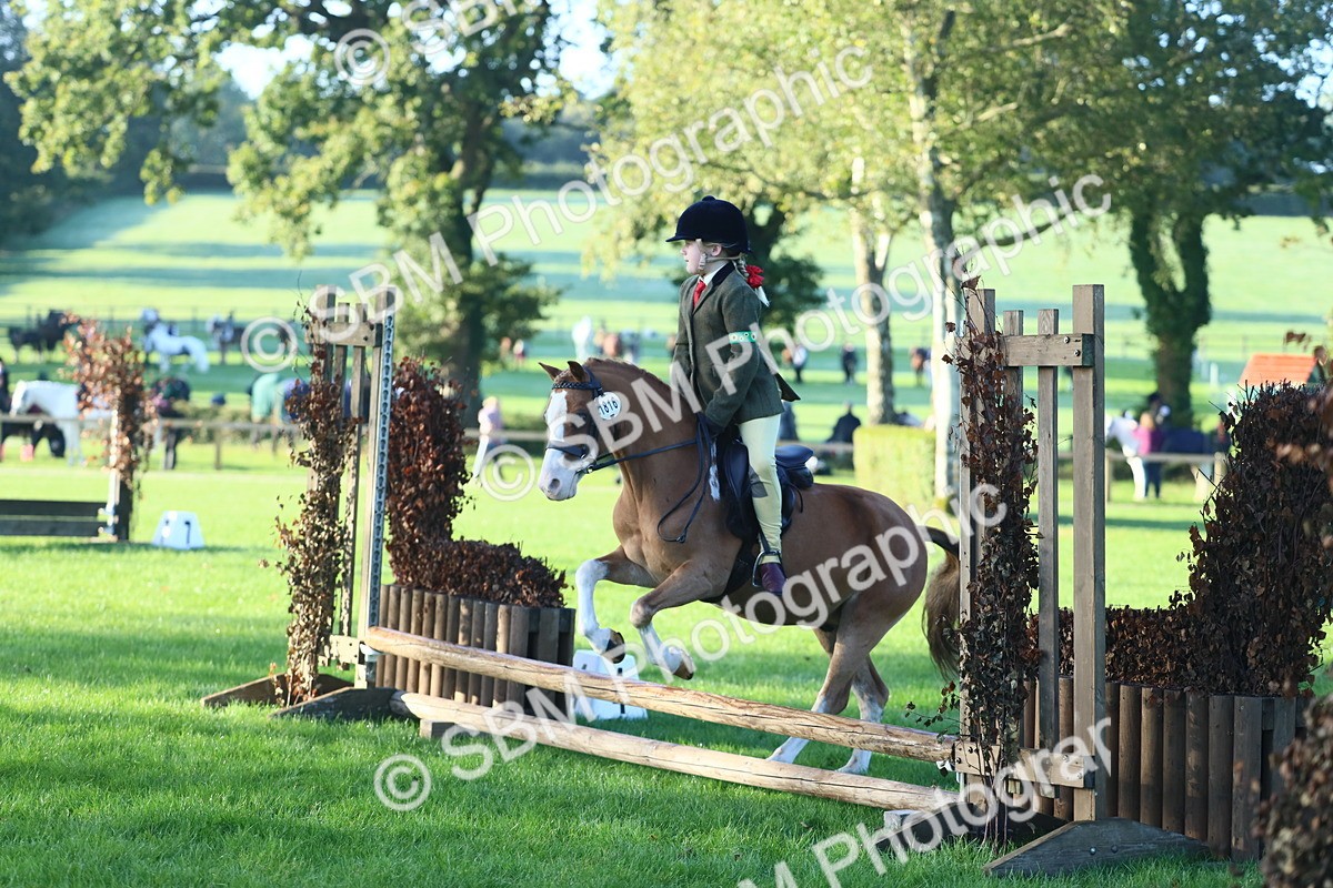 SBM_31816 - S28 - Nursery Stakes Working Hunter Pony