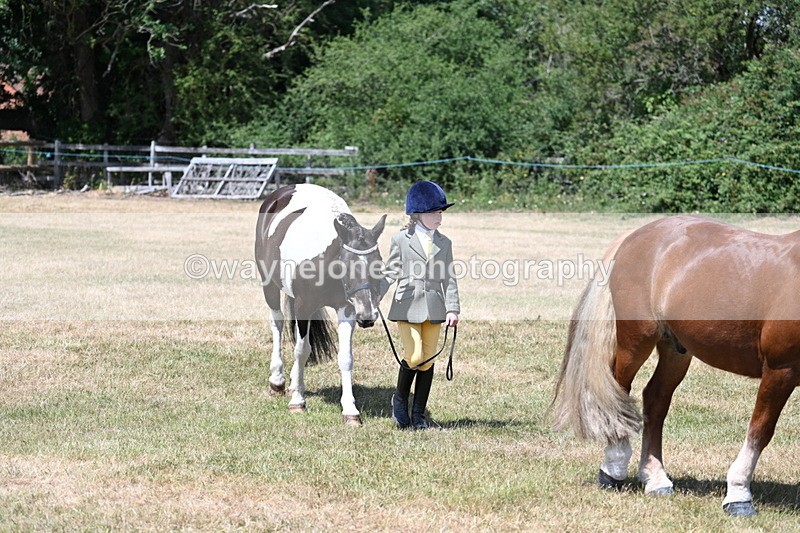 WJ7_2210 - Class 5 Most Handsome Gelding (up to 14.2hh) in hand
