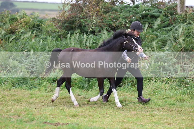 3E7A4324 - Class 15: Three Year Olds