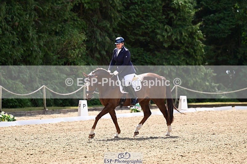 260802A-120137-06053 - Novice Silver break- end