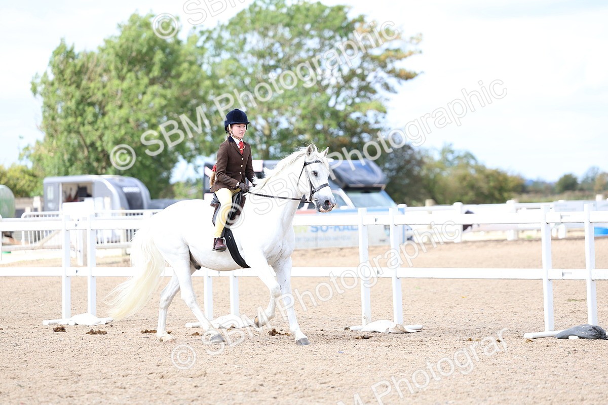SBM_15775 - Class 314 - Family Horse - Pony