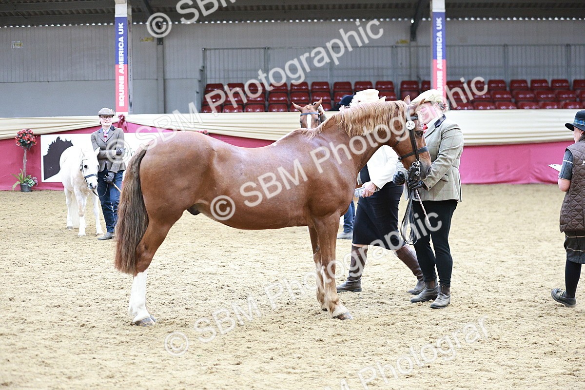 SBM_04832 - Class 7R - Regional IH Diamond