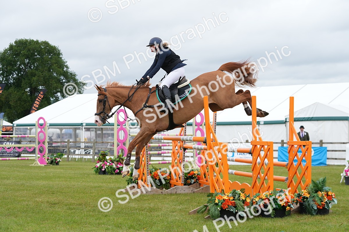 SBM_03299 - Class 201 - British Horse Feeds Speedi Beet Horse of the Year Show Grade  C