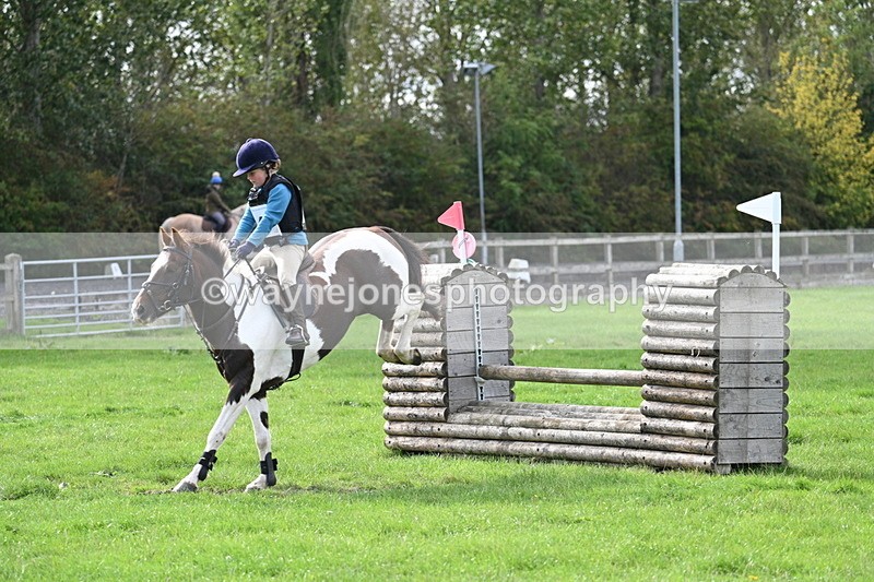 WJ7_8474 - 60cm Pairs