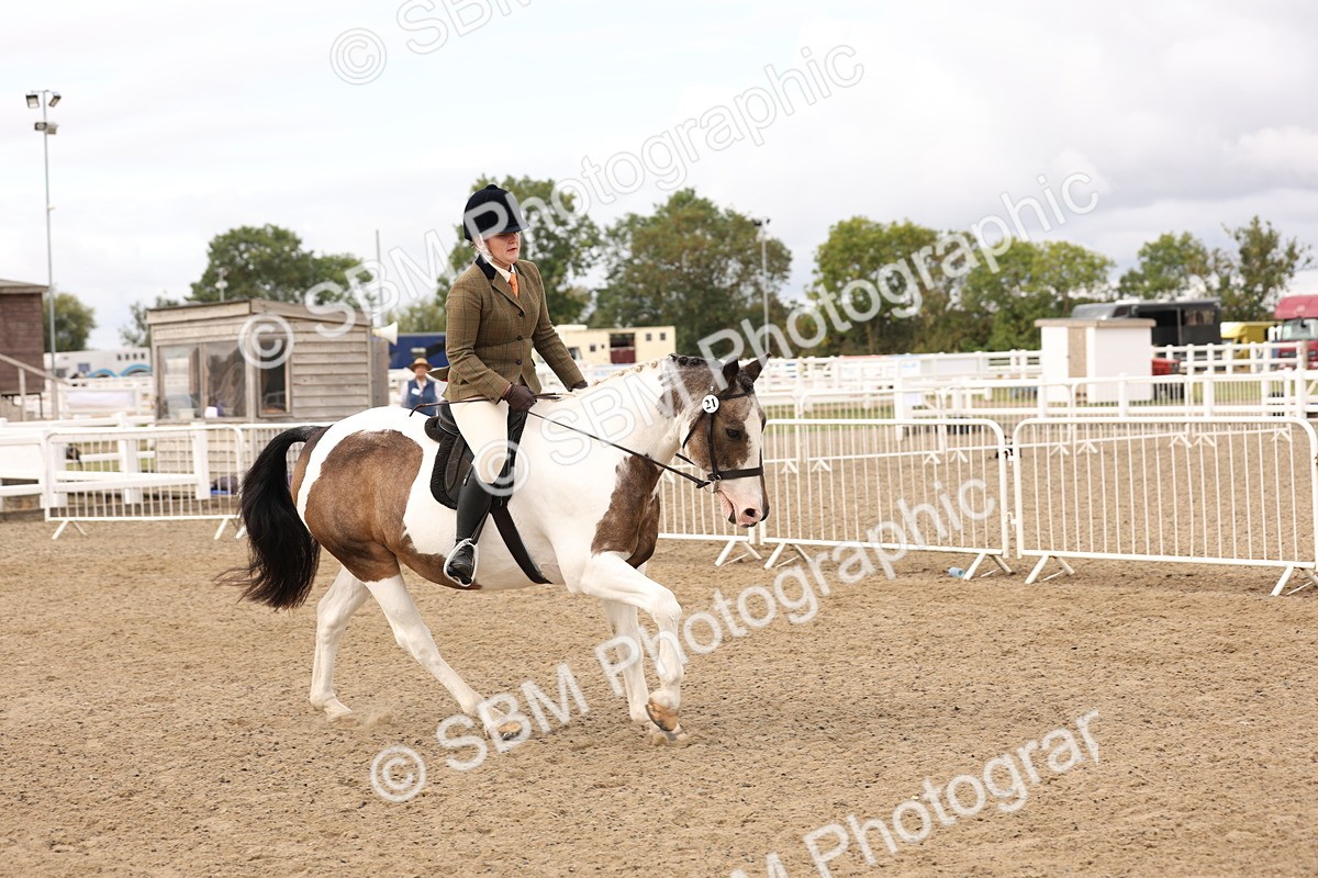 SBM_02815 - Class 53 - Ridden Competition Horse/Pony