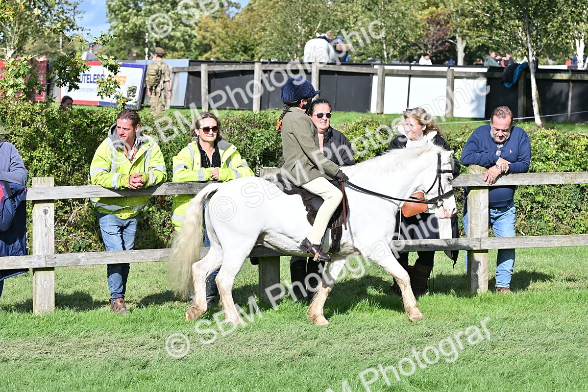 SBM_50238 - S21 - Novice & Newcomers First Ridden