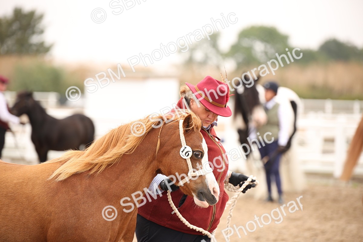 SBM_22162 - Class 707 - Ridden Groom-Helpers Class