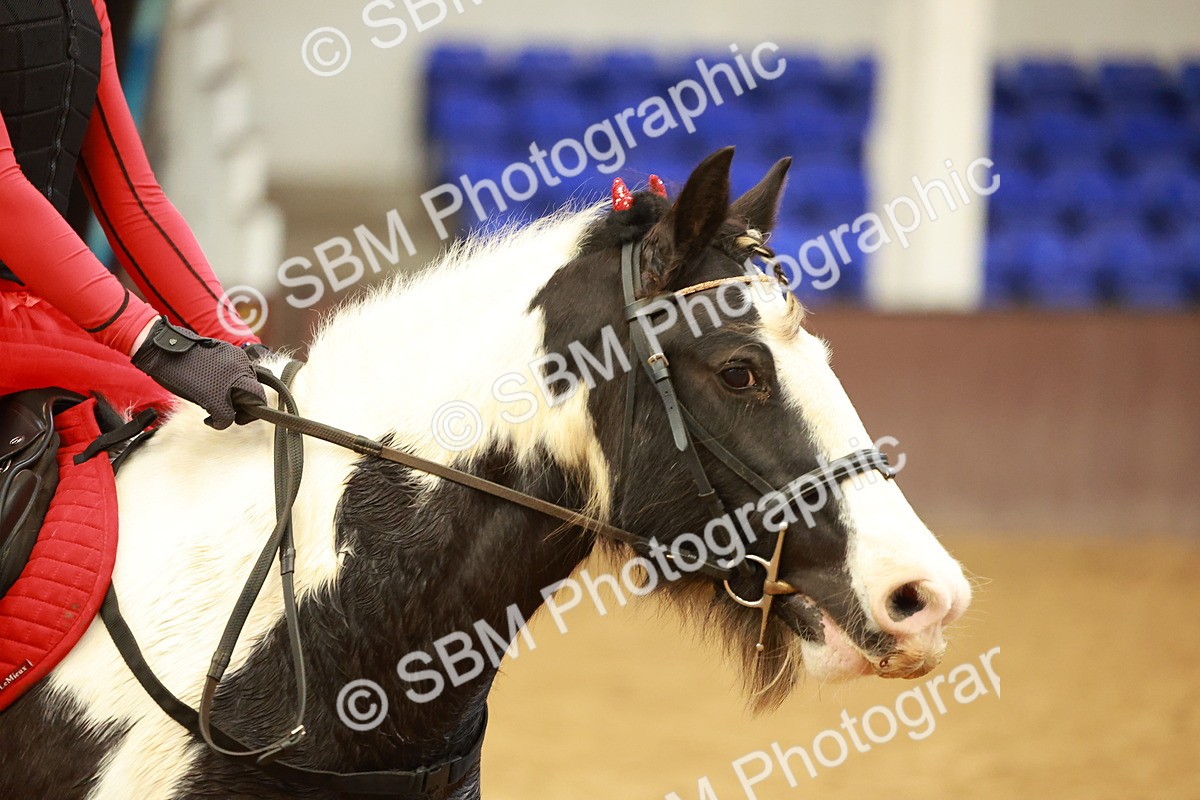 SBM_000544 - Class 2 - 50cm