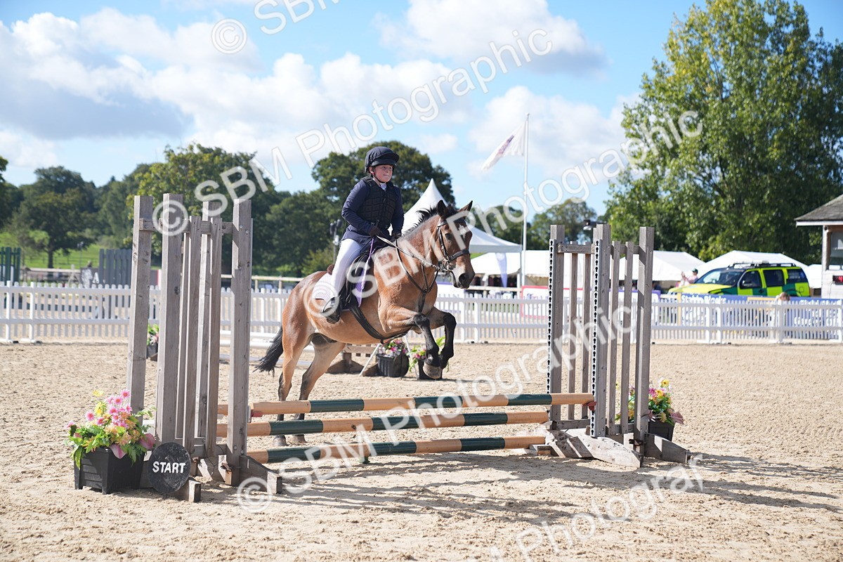 SBM_02446 - J54 Clear Round 45cm