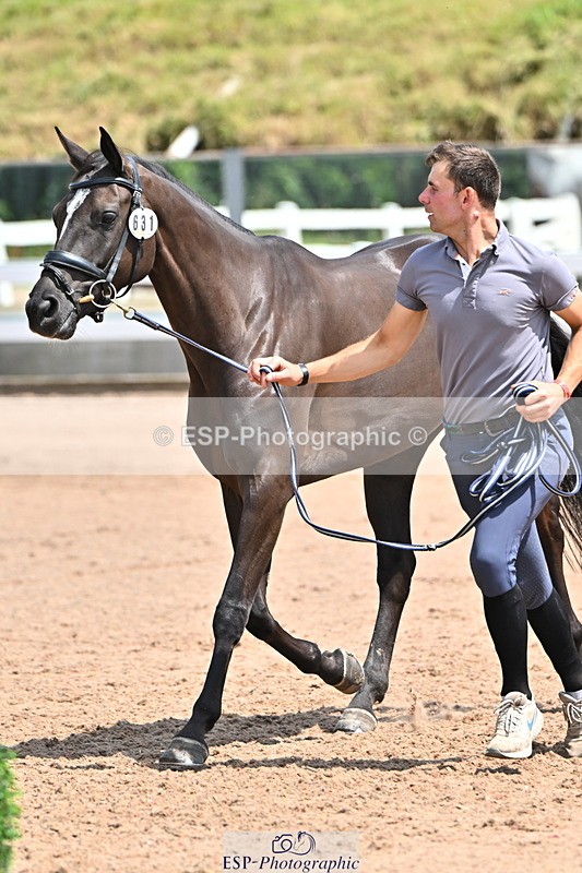 240718A-105313-01718 - Trot Up 1pm to 2pm