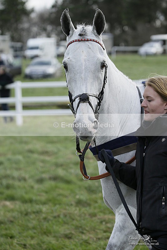 PtP 281121 0390 - Hursley Hambledon Point-to-Point Larkhill 28/11/21