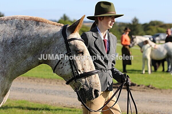 SIAL5420 - Miscellaneous pics