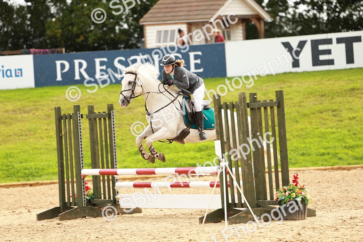 SBM_38407 - Supreme Championship 80cm 85cm