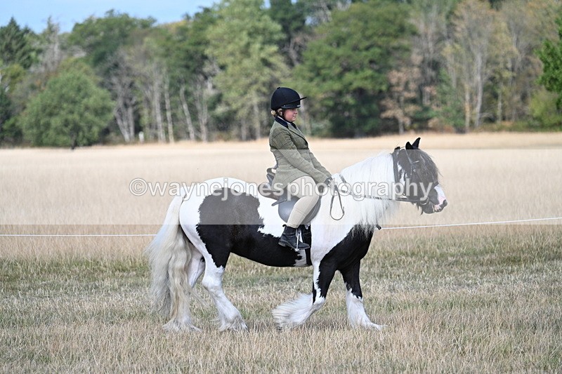 WJ7_6687 - Class 14 Ridden Coloured