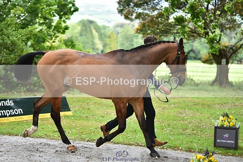 240522-160158-00663 - 115-THIS_ONES_ON_YOU-Joshua_Levett