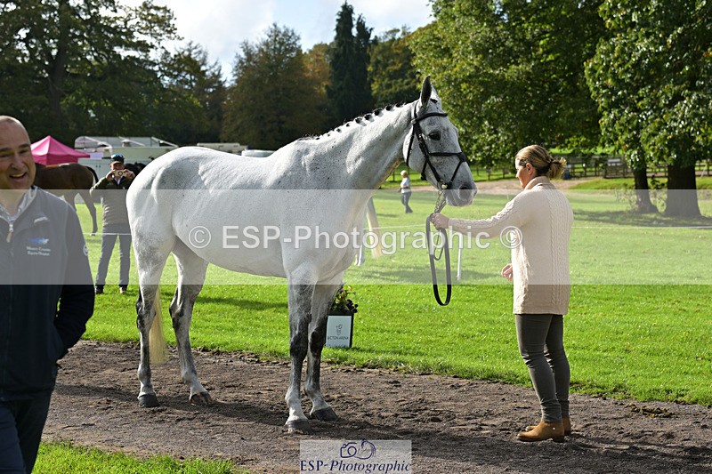 241023-132031-00217 - 014-Lizzie.Luxton-ST.TROPEZ