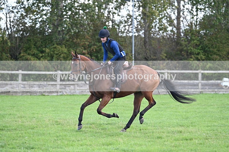 WJ7_0998 - Time 13:30 to 13:54