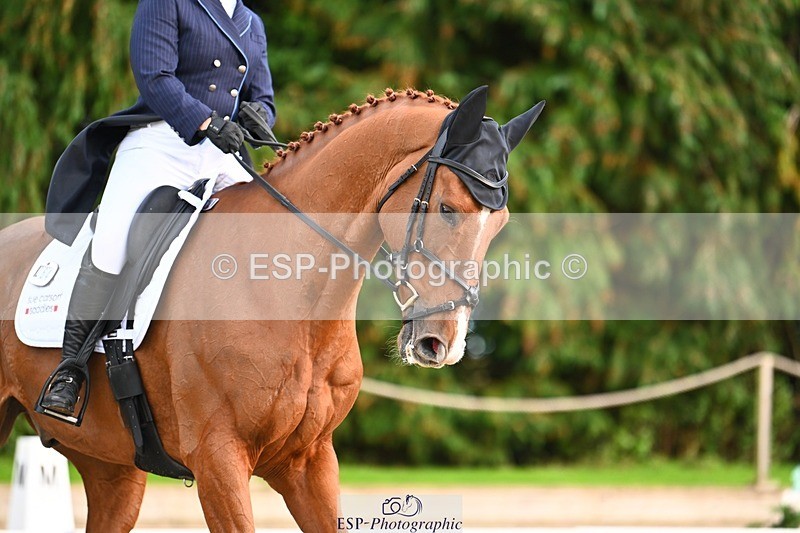 231021-161344-21061 - 264-BEST.ENDEAVOUR-Freddie.Taylor-DR