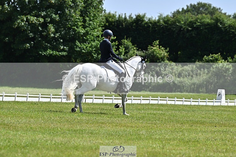 260529A-154153-08878 - A-118-Harry.Watkinson