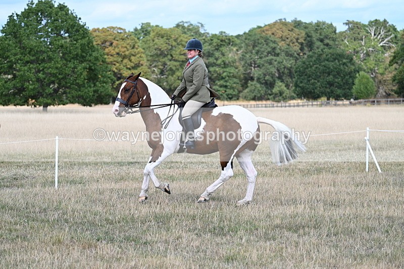 WJ7_6960 - Class 14 Ridden Coloured