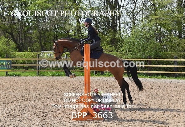 BPP_3663 - CLASS 1 Clear Round Show Jumping