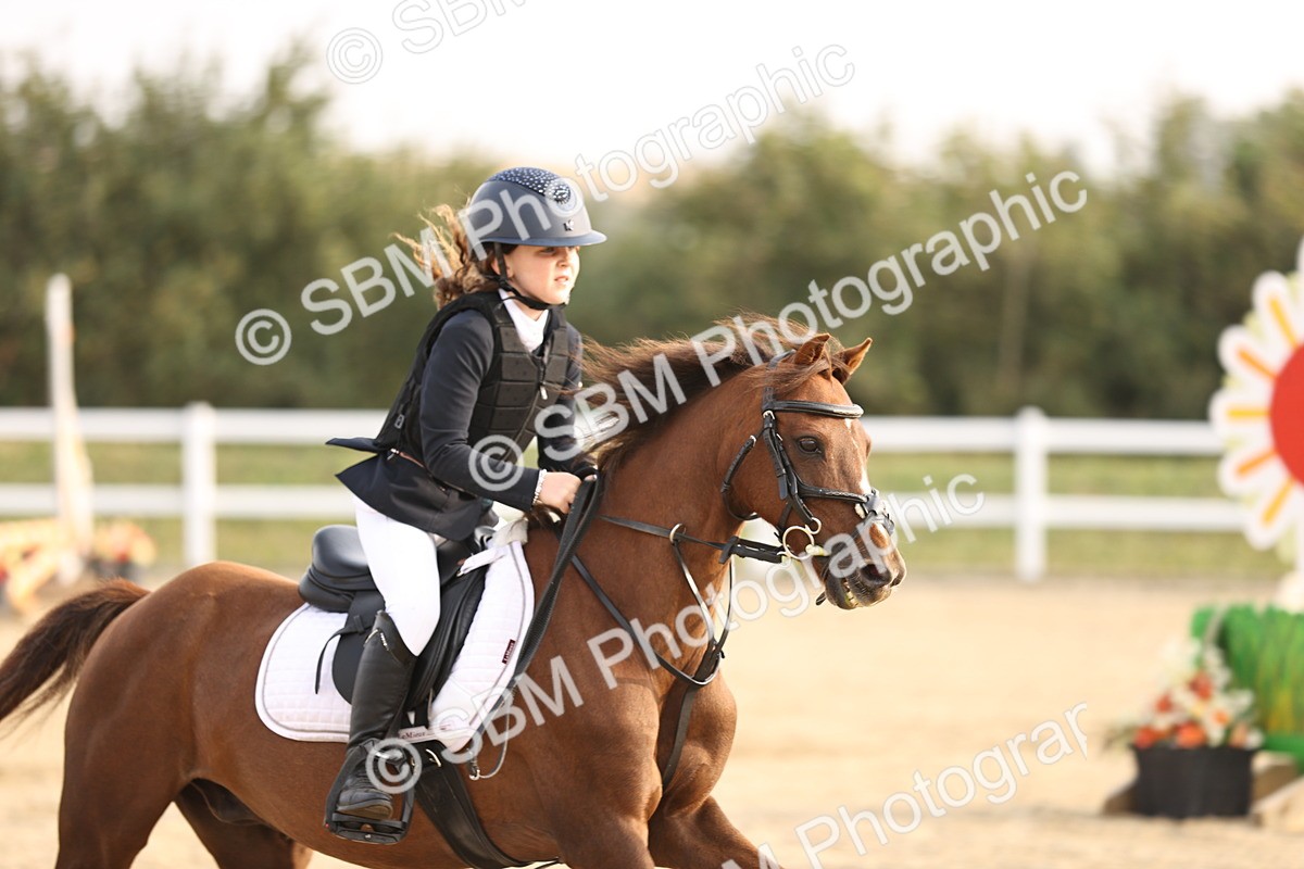 SBM_000272 - Class 2 - 50cm Championship