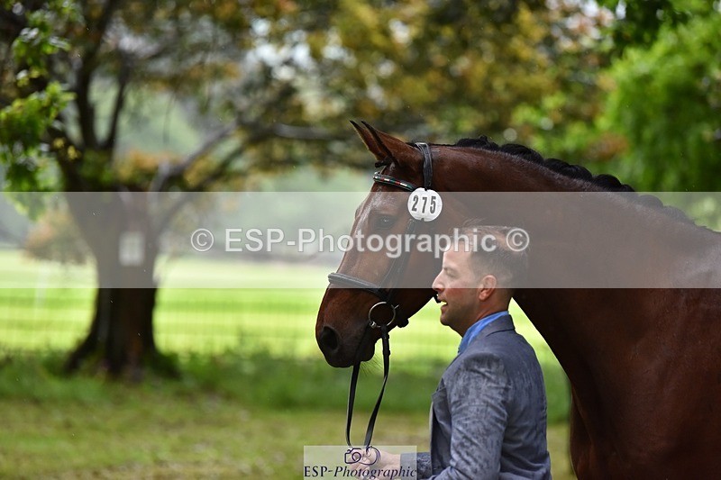 240522-162236-00875 - 275-SFS_ARRANO-Roberto_Scalisi