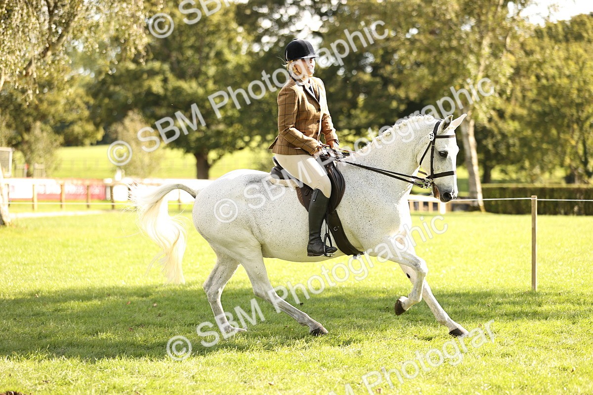 SBM_26400 - S6 - Novice & Newcomers Ridden Horse