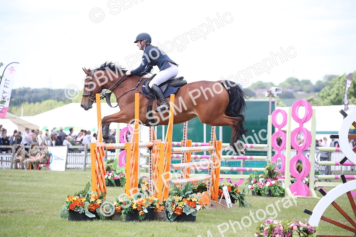 SBM_17449 - Class 208 - Senior Foxhunter 1.20m Open