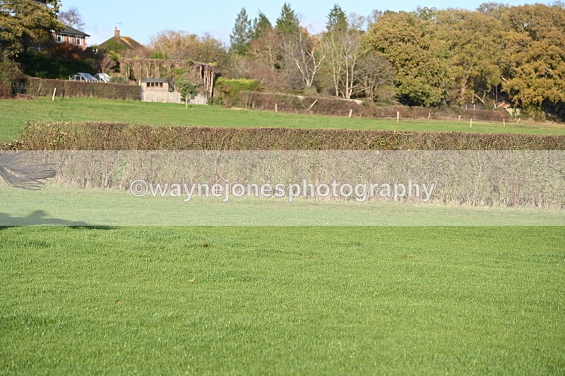 WJ6_3306 - Camera A