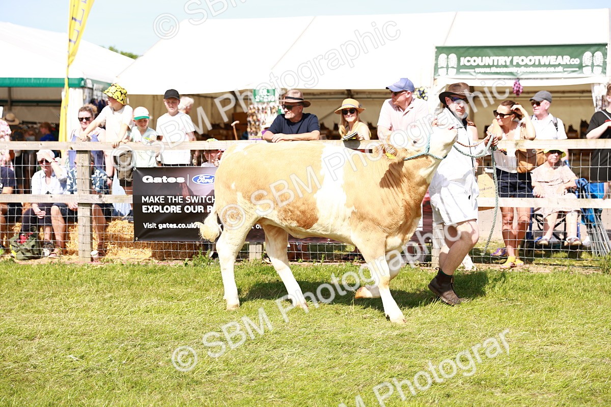 SBM_08366 - Grand Parade