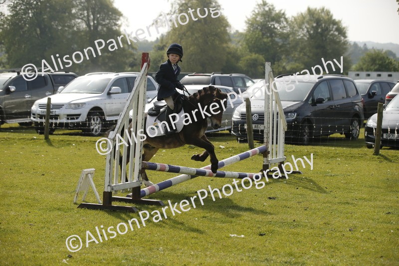 20260426-1086 - Class 1 - Mini Jumping - Lead rein or Assisted