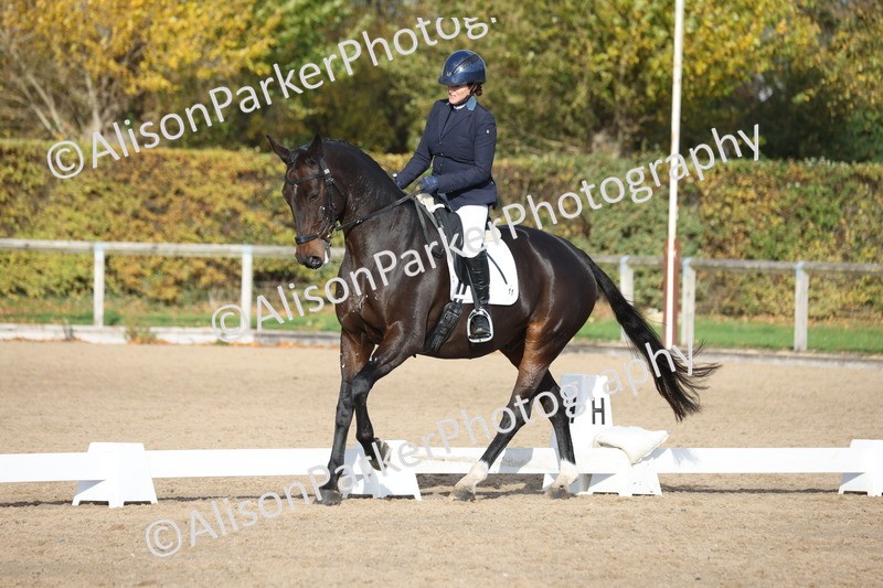 20251102-1137 - Class 6 - Elementary 6