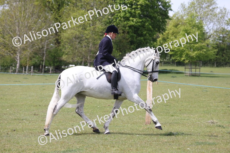 20260426-4306 - Class 34 - Best Riding Horse Over 14.2hh